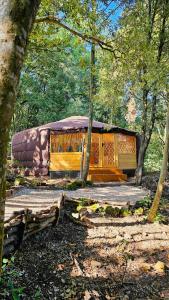 a house in the middle of a forest at 16Th Century Farmhouse Between The Tuscan Hills in Brancorsi +23 photos