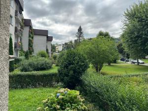 SkorkaにあるApartament Na Urlop - Wisła - Magiczny Horyzontの茂みと木々の庭園