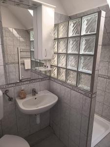 a bathroom with a sink and a mirror at Várkert Panzió in Miskolc +23 photos