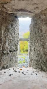 Naturlandskabet i nærheden af lejligheden