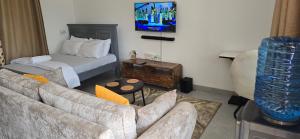 Μια τηλεόραση ή/και κέντρο ψυχαγωγίας στο Delany Silva Homes