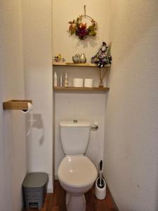 a bathroom with a toilet and a shelf on the wall at Couleur océan in Saint-Paul-lès-Dax +19 photos