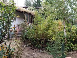 a house with a grass roof in a garden at biofarma in Chrudim
