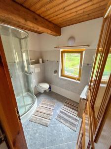 a bathroom with a shower and a toilet and two rugs at Penzion U Cempu in Kunratice +16 photos