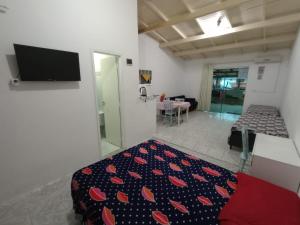 a bedroom with a bed and a tv in a room at Residencial Garcia Diárias Econômicas in Florianópolis