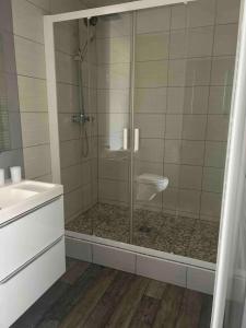 a bathroom with a shower and a toilet and a sink at Charmant studio près de Sancheville - 27 m² - 2 pers in Bercis