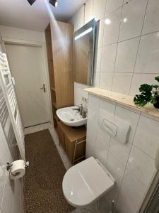 a bathroom with a white toilet and a sink at Elbflorenz in Bad Schandau