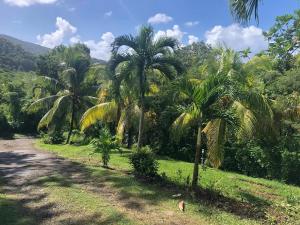 Příroda nedaleko apartmánu + 10 fotografií