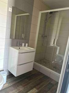 a bathroom with a white sink and a shower at Charmant studio près de Sancheville - 27 m² - 2 pers in Bercis