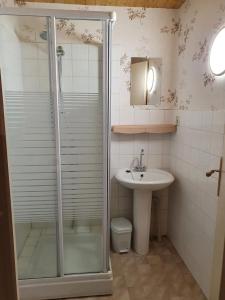 a bathroom with a shower and a sink at Maison charmante avec vue sur la montagne à Saint-Anthème in Faye-Furet