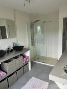 a bathroom with a shower and a sink and a mirror at Villa accueillante avec piscine à Castellane - 153 m² in Castellane +11 photos