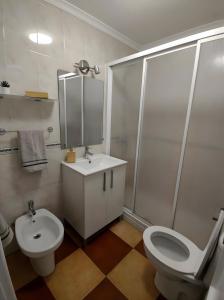 a bathroom with a toilet and a sink and a shower at Casa Marbella in Fuengirola