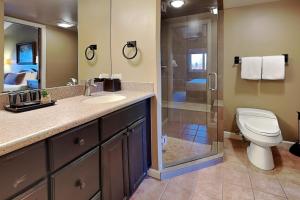 a bathroom with a toilet and a glass shower at Timberline Condominiums 2 Bedroom plus Loft 3 Bath Deluxe Unit D3D in Snowmass Village +21 photos