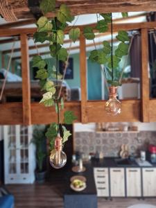 Kuchyň nebo kuchyňský kout v ubytování Odiseea Zen