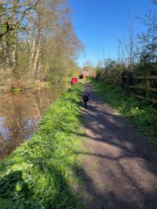 a dog walking down a dirt road next to a river at The White Hart Inn & Bunkhouse in Moffat