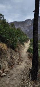 a dirt road with a tree on the side of a mountain at Ogachi Mini Glamp 