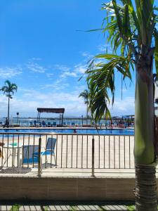 a palm tree in front of a swimming pool at Arraial do Cabo - Golden Lake in Arraial do Cabo