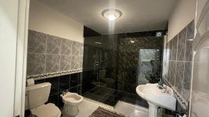 une salle de bain avec toilettes, lavabo et douche dans l'établissement Casa Borboleta, à Arco da Calheta 17 autres photos