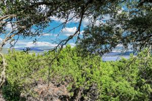 eine Gruppe von Bäumen mit dem Himmel im Hintergrund in der Unterkunft Canyon Lake Haven Cabin Hot Tub Yard Bbq Fire Pit in Canyon Lake