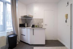 een witte keuken met een wastafel en een aanrecht bij Cinquantenaire 1 in Brussel +4 foto's