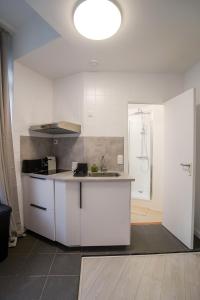 een keuken met witte kasten en een spoelbak bij Cinquantenaire 1 in Brussel