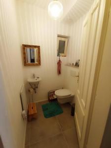 a bathroom with a white toilet and a sink at Auszeit-Oase im Waldviertel in Dobersberg