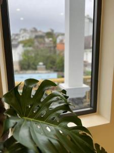 Fotografie z fotogalerie ubytování Amy Hotel & Apartment v destinaci Da Thanh