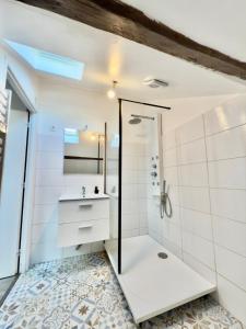 un bagno con doccia e lavandino di Studio 12 charmant Av Garibaldi - DABNB a Limoges