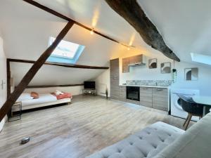 un ampio soggiorno con divano e lavandino di Studio 12 charmant Av Garibaldi - DABNB a Limoges