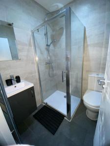 a bathroom with a shower and a toilet at Luxe Apartment in Croydon