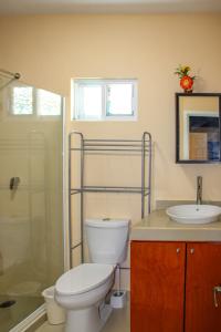 ein Badezimmer mit Toilette und Waschbecken in der Unterkunft Terry's House in Cozumel
