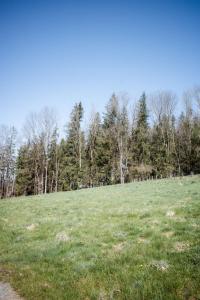 Naturlandskabet i nærheden af lejligheden