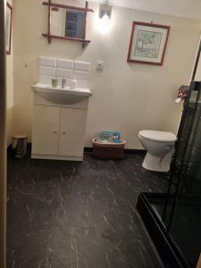 een badkamer met een wastafel en een toilet bij le Jardin in Dinard