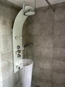 ein Bad mit einer Dusche und einem Waschbecken in der Unterkunft Gnaden -und Ferienhof Saale Wittgenstein in Schorstedt