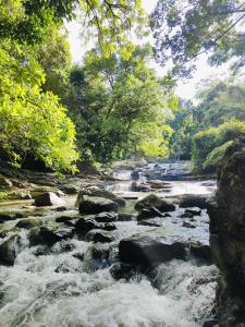 a river with rocks and trees on the side at Riverston Water Front Villa in Rattota