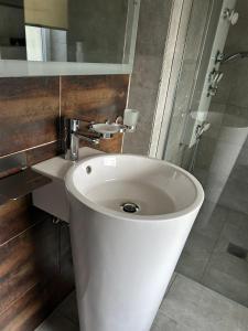 ein Badezimmer mit einem weißen Waschbecken und einer Dusche in der Unterkunft Gnaden -und Ferienhof Saale Wittgenstein in Schorstedt + 39 Fotos