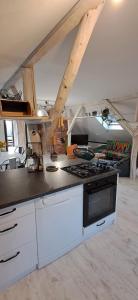a kitchen with a stove top oven in a room at Małopolskie Swojskie in Olszyny