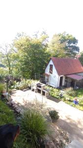 a garden with a shed and a table and benches at HeikenBergs Ferienhaus in Bad Lauterberg