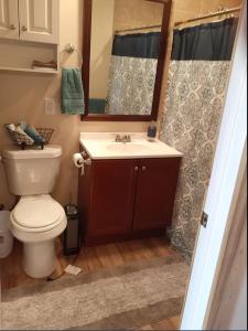 une salle de bain avec toilettes, lavabo et miroir dans l'établissement Cottage 1 on Ranch with Fishing & Camping, à McKinney