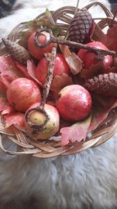 a basket filled with fruits and vegetables on a table at Zeko Farm in Gjirokastër