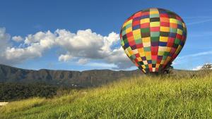 a hot air balloon in a field of grass at Tree of Life Chalet in Brumadinho +9 photos