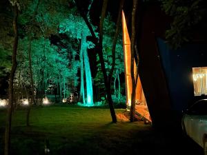 a night view of a forest with a blue waterfall at Tree of Life Chalet in Brumadinho +11 photos