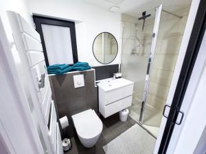 a small bathroom with a toilet and a shower at Le Logis de cœur in Azay-le-Rideau