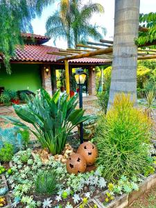 Un jardín con flores y plantas frente a una casa. en Suíte Encanto do Paraíso - Cozinha - Self check-in, en Torrinha