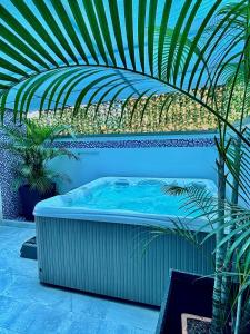 Un jacuzzi en un patio con plantas. en Hotel Laureles Plaza, en Medellín