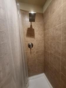 a bathroom with a shower with a shower curtain at Cottage 2 on Ranch with Fishing & Camping in McKinney