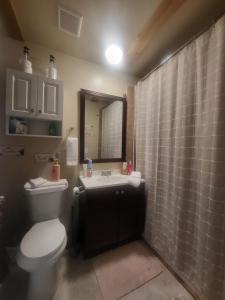 a bathroom with a toilet and a sink and a mirror at Cottage 2 on Ranch with Fishing & Camping in McKinney
