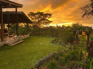 Vườn quanh ShantihOMe Ecolodge entre Mindo y San Miguel de los Bancos Ecuador