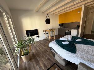 TV a/nebo společenská místnost v ubytování Studio lumineux avec terrasse