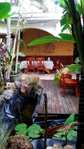 Κήπος έξω από το Hotel Aloha Managua